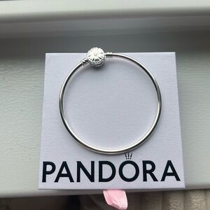 Pandora Silver Bangle